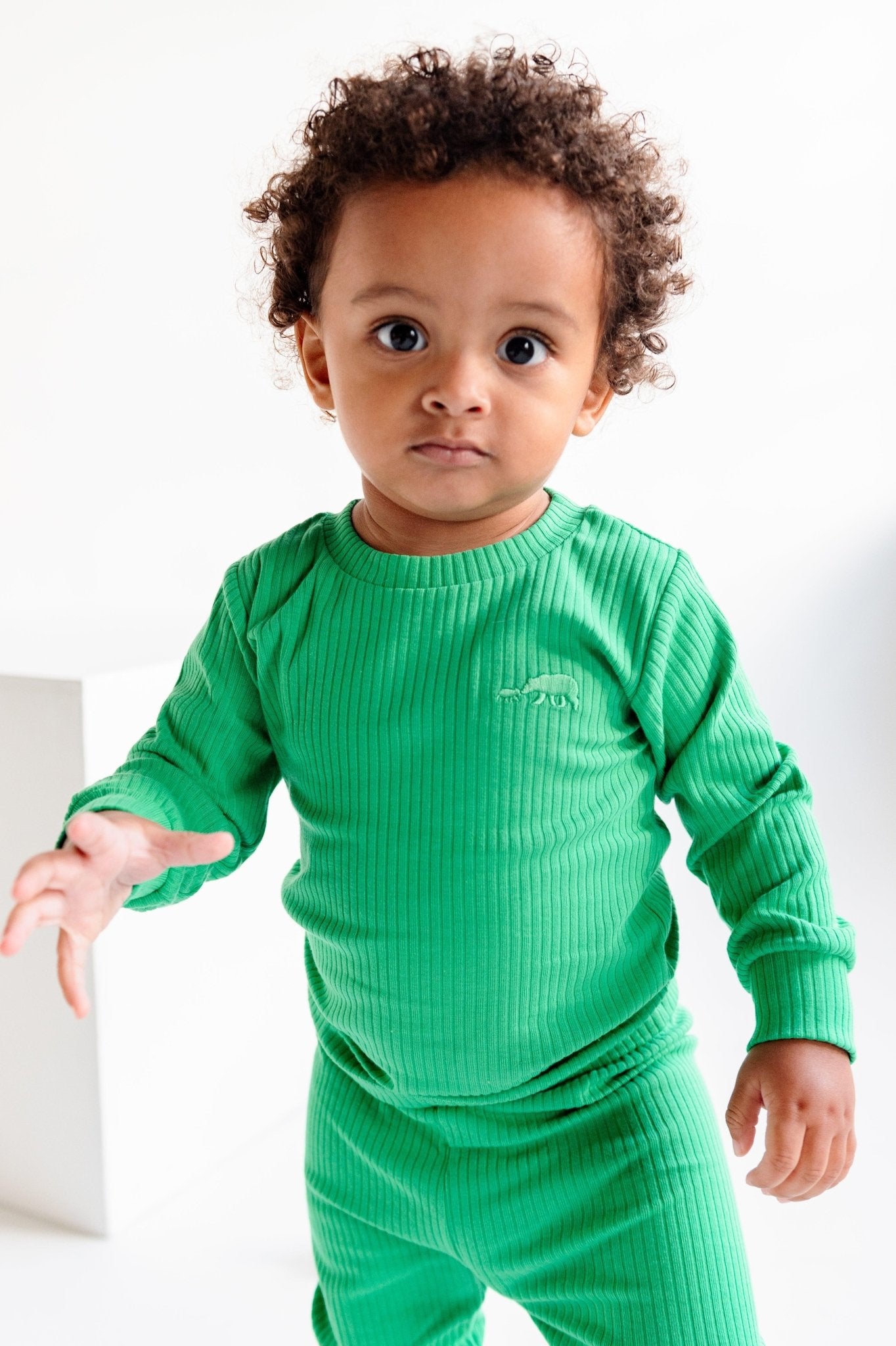 Grass Green Ribbed Long Sleeve Top - ClayBearOfficial 