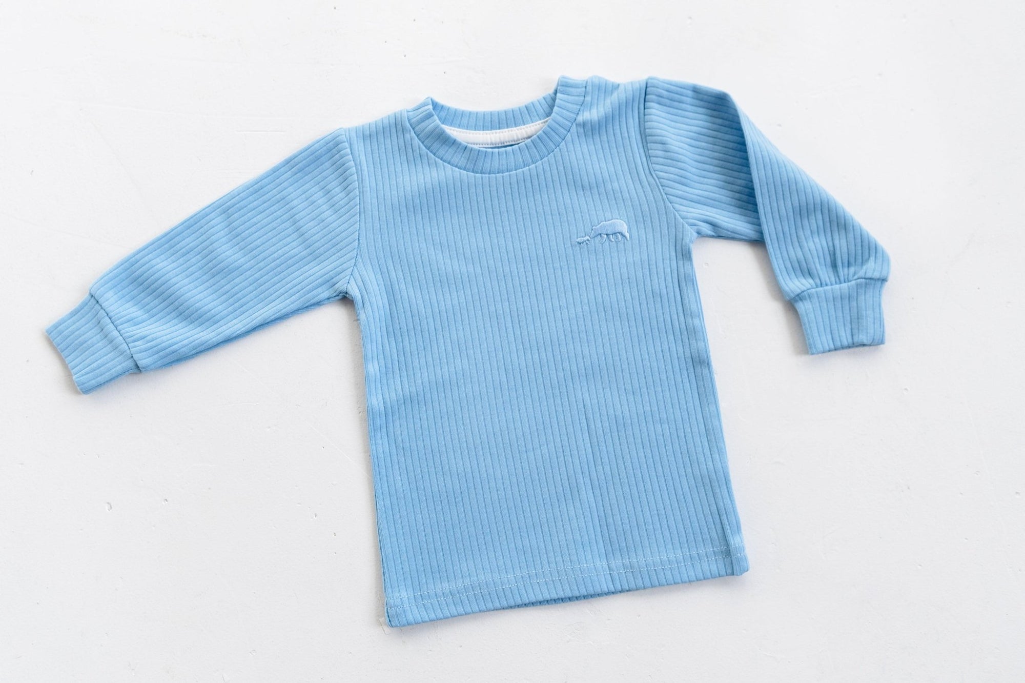 Sky Blue Ribbed Long Sleeve Top - ClayBearOfficial 