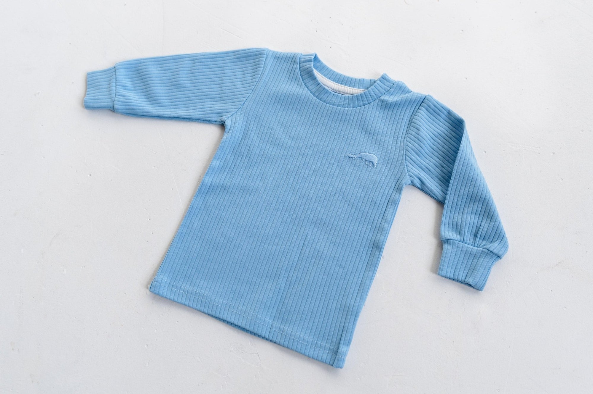 Sky Blue Ribbed Long Sleeve Top - ClayBearOfficial 