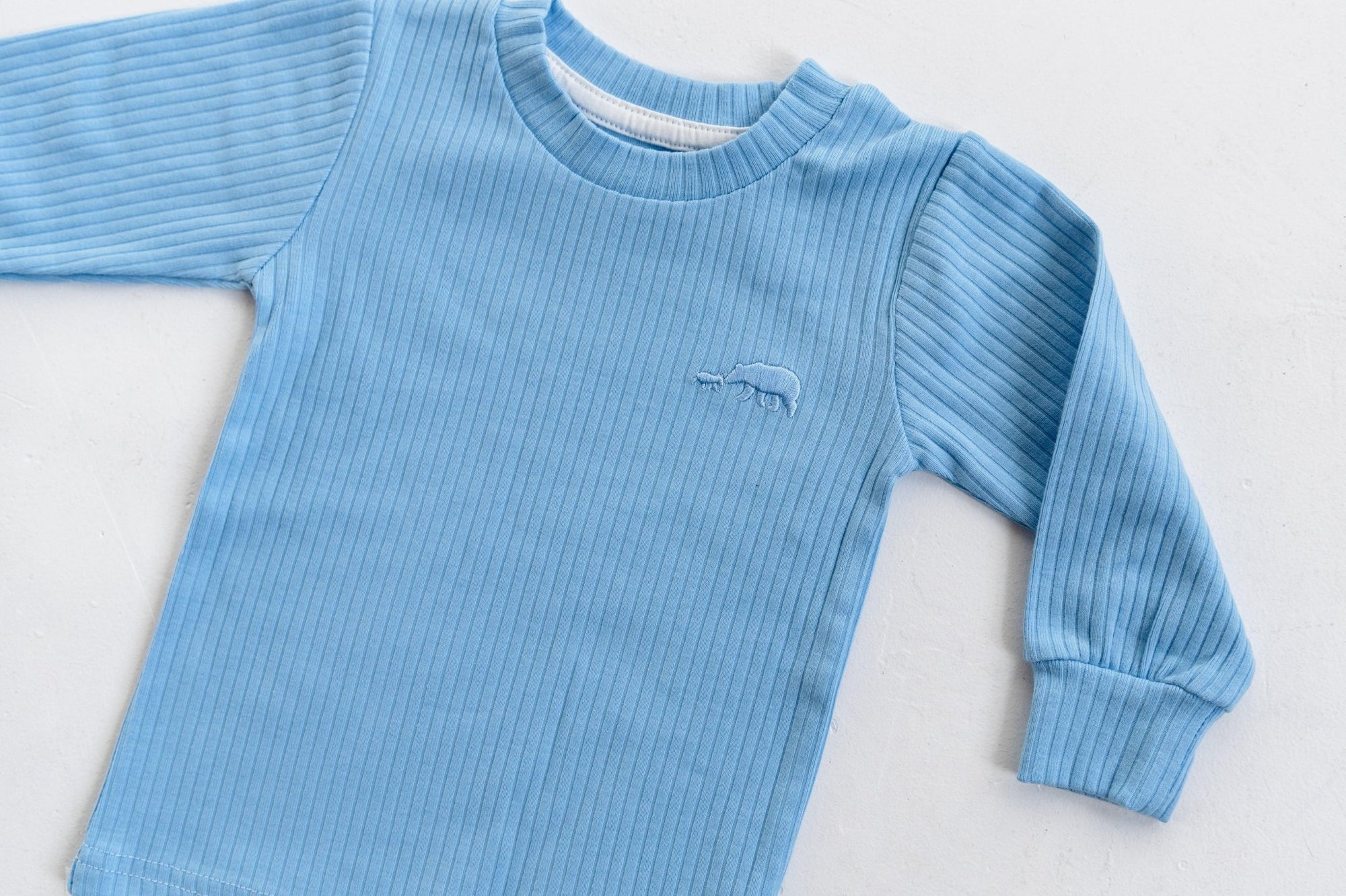 Sky Blue Ribbed Long Sleeve Top - ClayBearOfficial 